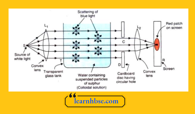 HBSE Class 10 Physics Solutions For Chapter 2 The Experimental Setup The Scattering Of Blue Component Of Sunlight In The Atmosphere