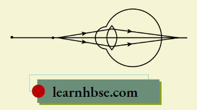 HBSE Class 10 Physics Solutions For Chapter 2 The Ray Diagram Of A Defected Eye