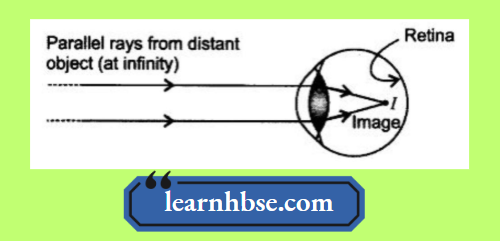 HBSE Class 10 Physics Solutions For Chapter 2 When A Student Is Seated At The Back Seat