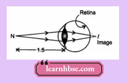 HBSE Class 10 Physics Solutions For Chapter 2 When Student Is Seated At Front Seat