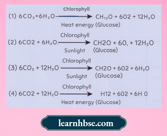 HBSE Solutions Class 10 Biology Chapter 1 CO₂ And H₂O Into Carbohydrates In Plants