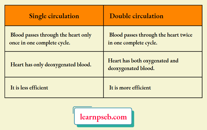 HBSE Solutions Class 10 Biology Chapter 1 Differentiate Between Single And Bouble Circulation