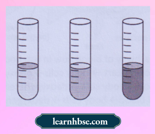 HBSE Solutions Class 10 Biology Chapter 1 Human Respiration Using Lime Water, Test Tube And A Straw