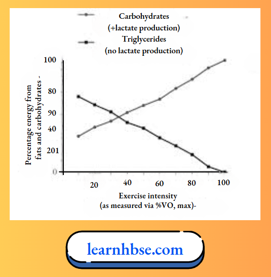 HBSE Solutions Class 10 Biology Chapter 1 The Effect Of Exercise Intensity On Carbohydrate Consumption.