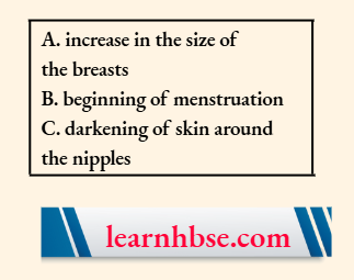 HBSE Solutions Class 10 Biology Chapter 2 The Changes That Occur In Girls During Puberty