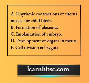 HBSE Solutions Class 10 Biology Chapter 2 The Female Body After Fertilization Of Egg With Sperm