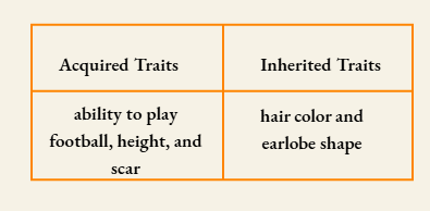 HBSE Solutions Class 10 Biology Chapter 3 Acquired Traits And Inherited Traits