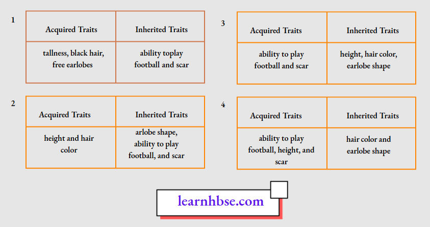 HBSE Solutions Class 10 Biology Chapter 3 Classification Of His Traits Into Acquired Traits And Inherited Traits