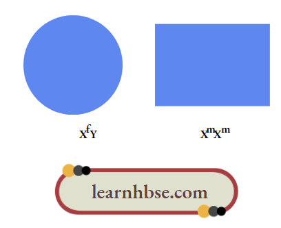 HBSE Solutions Class 10 Biology Chapter 3 Geometric Shapes