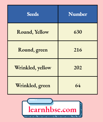 HBSE Solutions Class 10 Biology Chapter 3 Types Of Seeds Were Obtained By Mendel