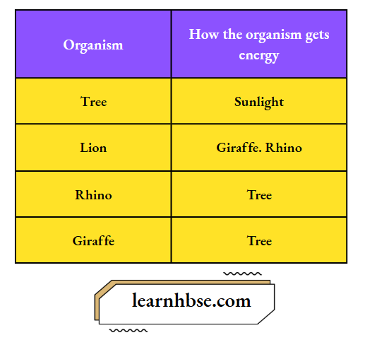 HBSE Solutions Class 10 Biology Chapter 5 Organisms Including Plants, Animals And How They Get Energy