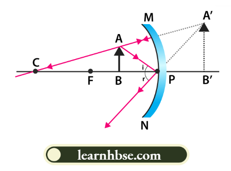 HBSE Solutions For Class 10 Physics Chapter 1 A Concave Mirror Can Form A Magnified And Virtual Image