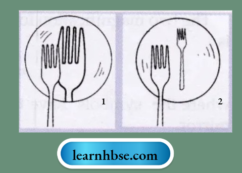 HBSE Solutions For Class 10 Physics Chapter 1 A Fork When Placed In Front Of And Close To Two Mirrors