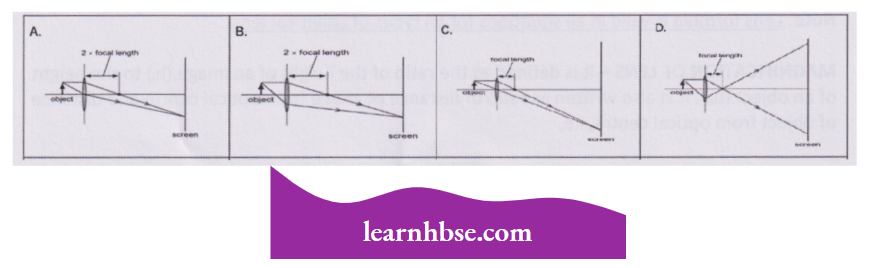 HBSE Solutions For Class 10 Physics Chapter 1 Converging Lens