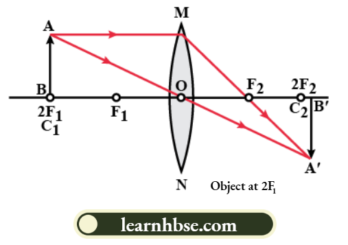 HBSE Solutions For Class 10 Physics Chapter 1 Object Is Placed At 2F In Front Of The Convex Lens