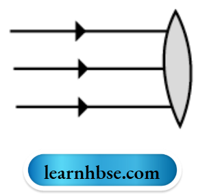 HBSE Solutions For Class 10 Physics Chapter 1 Parallel Rays Of Light