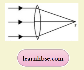 HBSE Solutions For Class 10 Physics Chapter 1 Parallel Rays Will Converge To Point Called Focus