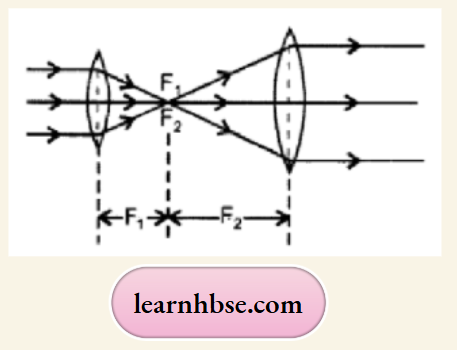 HBSE Solutions For Class 10 Physics Chapter 1 Parallel beam Converges At Focus
