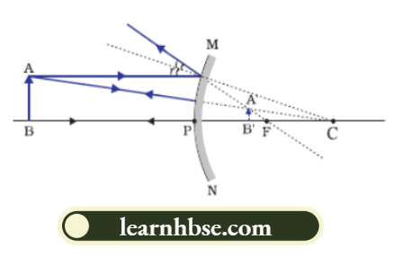 HBSE Solutions For Class 10 Physics Chapter 1 Rear-view Mirror Is A Convex Mirror