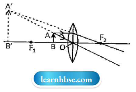 HBSE Solutions For Class 10 Physics Chapter 1 The Convex Lens Has A Focal Length