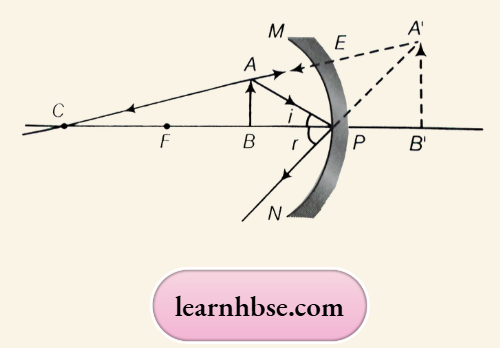 HBSE Solutions For Class 10 Physics Chapter 1 The Image Formed By A Concave Mirror